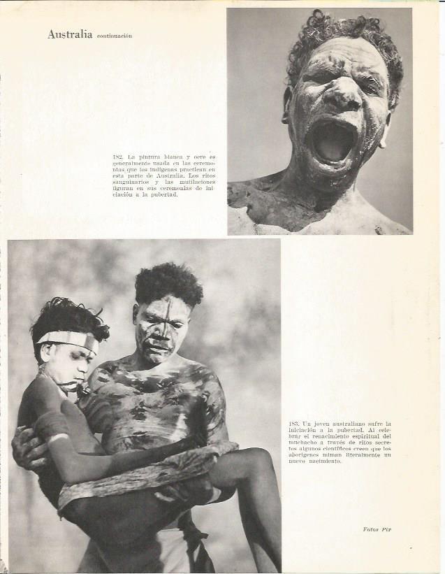 LAMINA 26415: Pintura blanca usada por aborigenes de Australia
