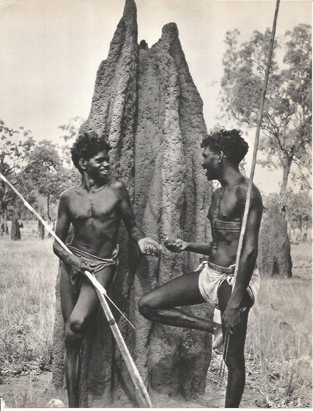LAMINA 26414: Cazadoresv de Arnhem Land
