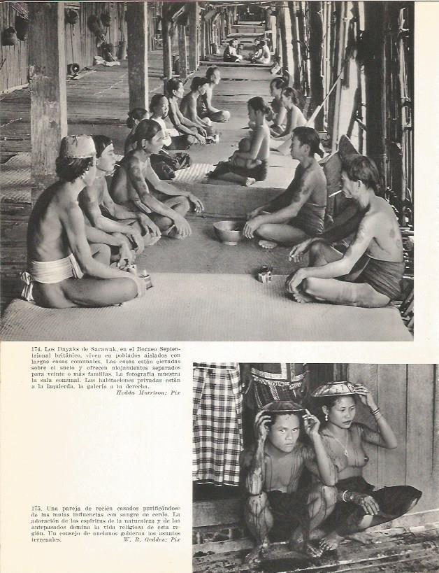 LAMINA 26412: Los Dayaks de Sarawak