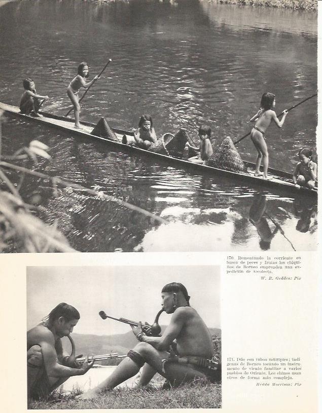 LAMINA 26411: Niños de Borneo
