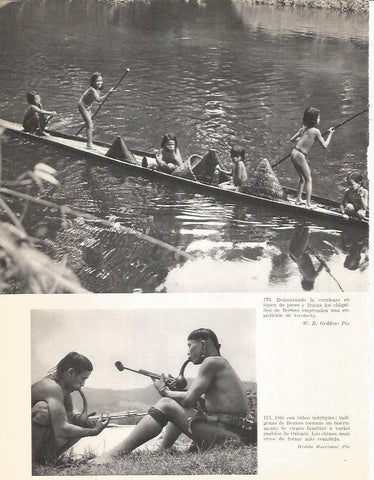 LAMINA 26411: Niños de Borneo