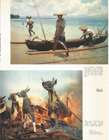 LAMINA 26410: Ceremonia de cremacion en Bali