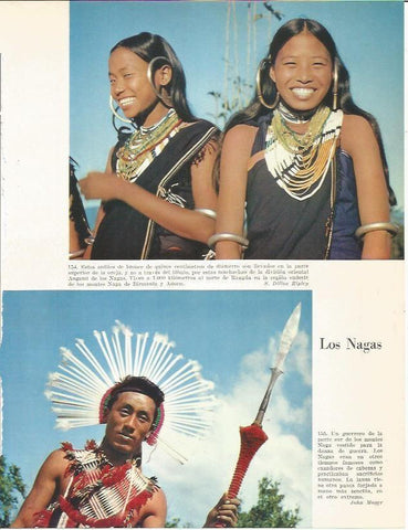 LAMINA 26407: Los Nagas