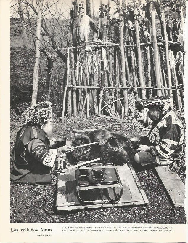 LAMINA 26406: Los velludos Ainu