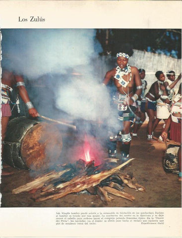 LAMINA 26402: Los Zulu