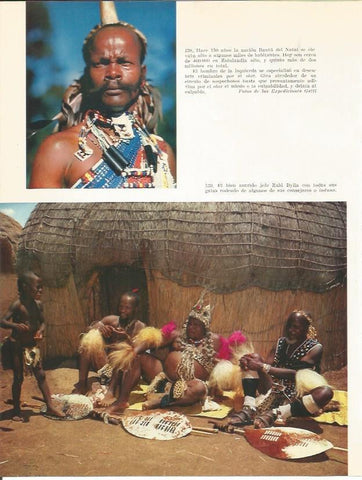 LAMINA 26401: Hombres Zulu