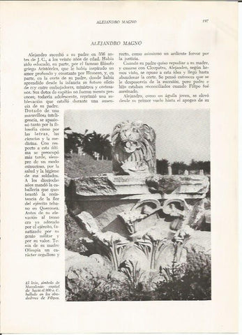 LAMINA HISTORIA 26221: El leon, simbolo de Macedonia