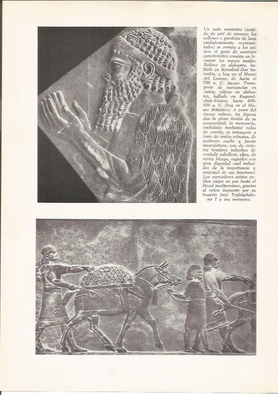 LAMINA HISTORIA 26179: Relieve de Khorsabad