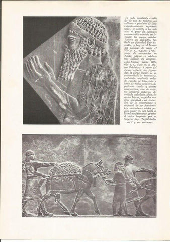 LAMINA HISTORIA 26179: Relieve de Khorsabad