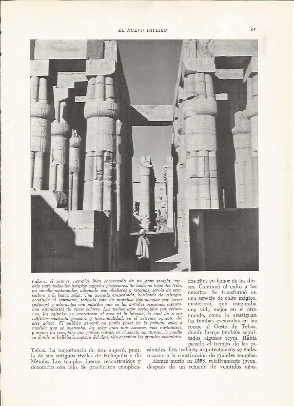 LAMINA HISTORIA 26159: Columnas del templo de Luxor