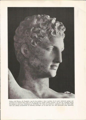 LAMINA HISTORIA 26214: Cabeza del Hermes de Praxiteles