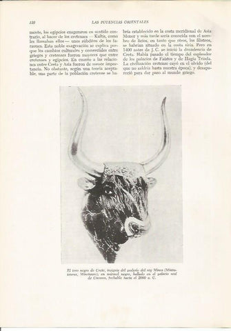 LAMINA HISTORIA 26192: El toro negro de Creta