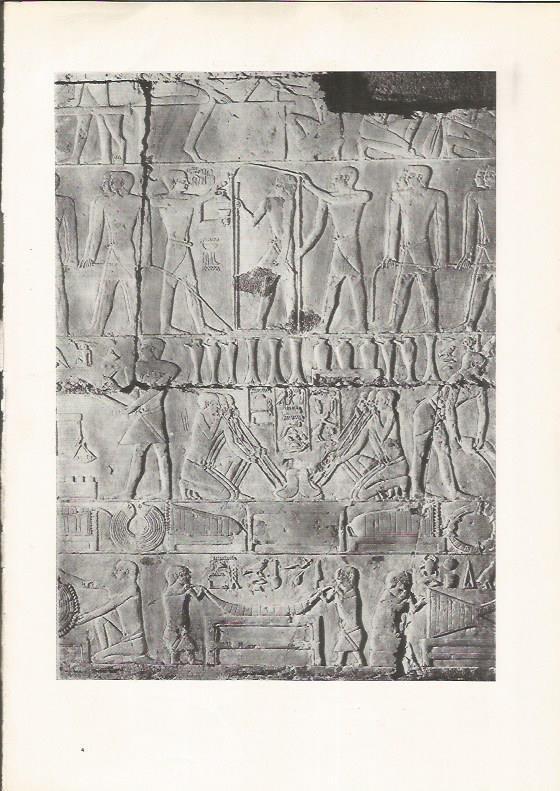 LAMINA HISTORIA 26153: Relieve de la tumba de Ti
