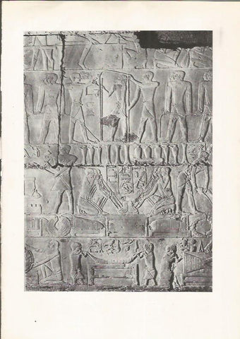 LAMINA HISTORIA 26153: Relieve de la tumba de Ti