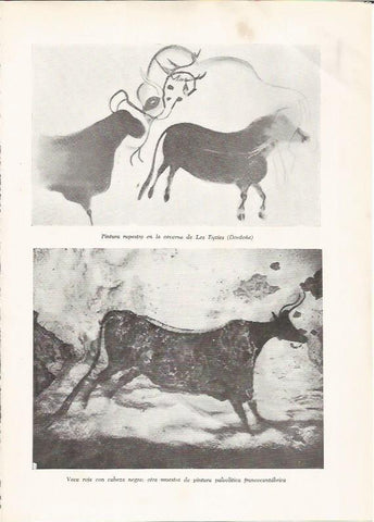 LAMINA HISTORIA 26139: Pintura rupestre de la cueva de Les Eyzies, Francia