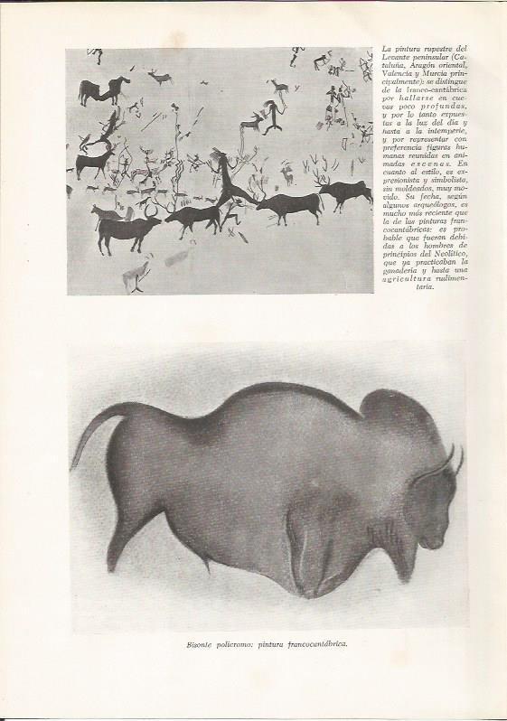 LAMINA HISTORIA 26138: Pintura rupestre de bufalo