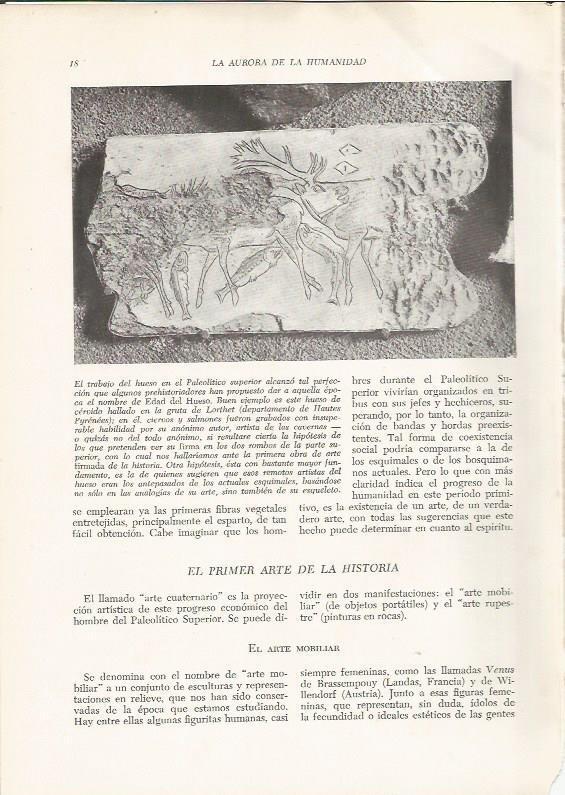 LAMINA HISTORIA 26137: Hueso de cervido de la gruta de Lorthet