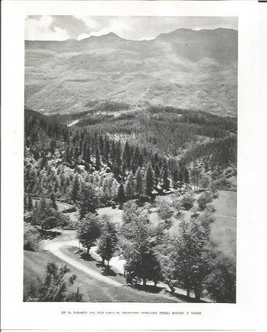 LAMINA 26483: Bosque en el interior del Pais Vasco
