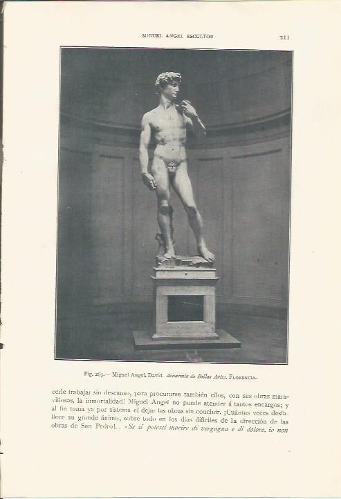 LAMINA 26828: El David de Miguel Angel
