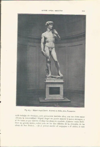 LAMINA 26828: El David de Miguel Angel