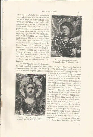 LAMINA 26731: Frescos por Pietro Cavallini