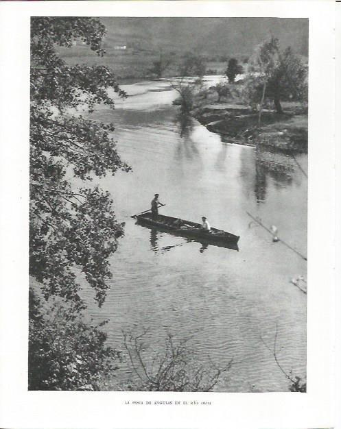 LAMINA 26546: Pesca de angulas en el rio Orja