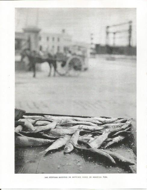 LAMINA 26592: Sardinas de Santurce