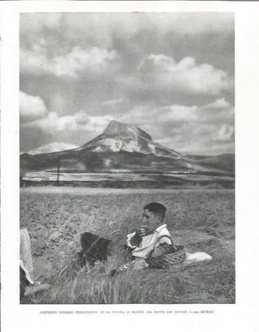 LAMINA 26543: Monte de San Donato