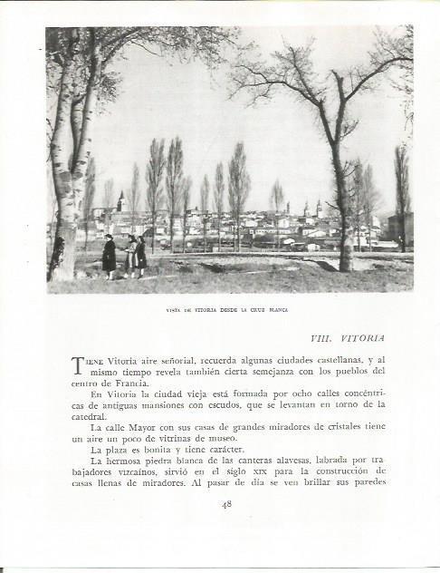 LAMINA 26499: Vista de Vitoria desde la Cruz Blanca
