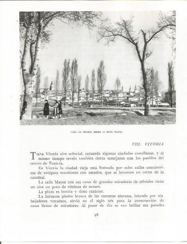 LAMINA 26499: Vista de Vitoria desde la Cruz Blanca
