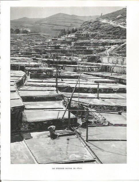 LAMINA 26496: Salinas de Añana