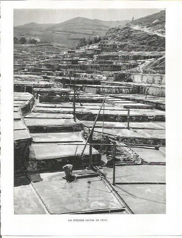 LAMINA 26496: Salinas de Añana