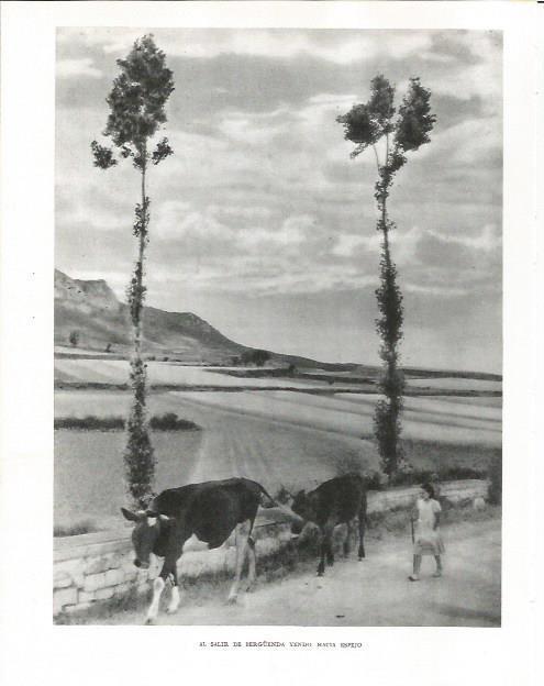 LAMINA 26495: Afueras de Berguenda