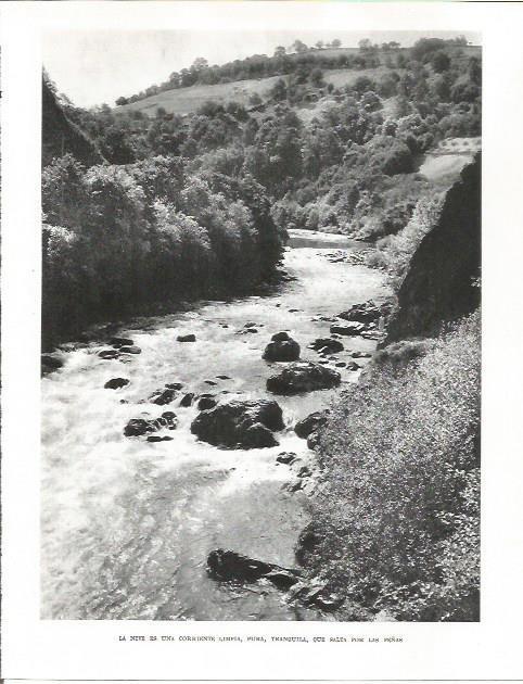 LAMINA 26492: La nive, corriente del rio