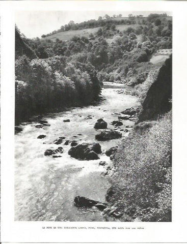 LAMINA 26492: La nive, corriente del rio