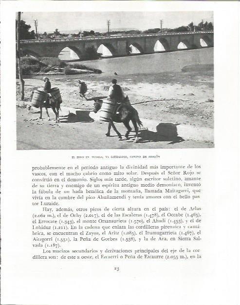 LAMINA 26489: El rio Ebro por Tudela