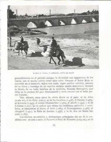 LAMINA 26489: El rio Ebro por Tudela