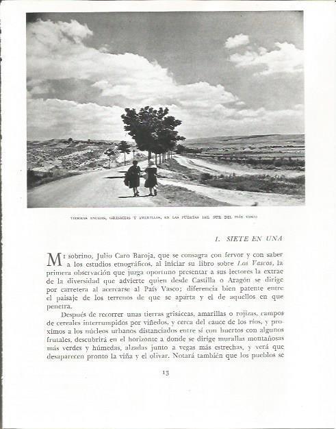 LAMINA 26484: Paisaje del sur del Pais Vasco