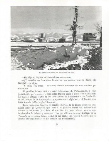 LAMINA 26511: Vista de Betaño