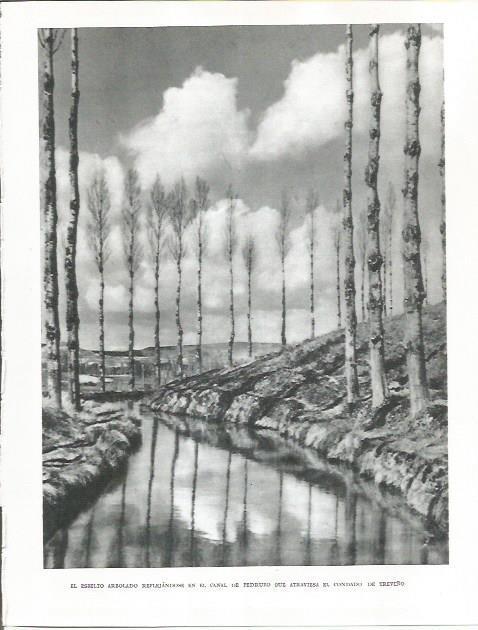 LAMINA 26513: Canal de Pedruzo