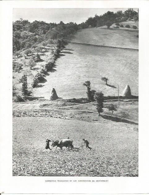 LAMINA 26533: Campesinos en Ormaiztegui