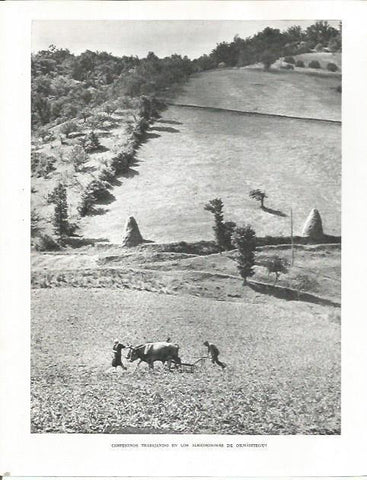 LAMINA 26533: Campesinos en Ormaiztegui