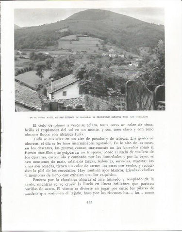 LAMINA 2668: Vista de San Esteban de Baigorri