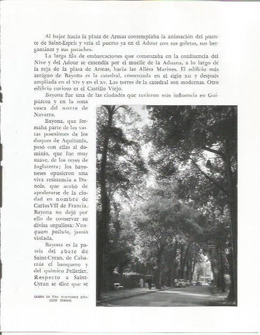 LAMINA 26678: Vista de Cambo