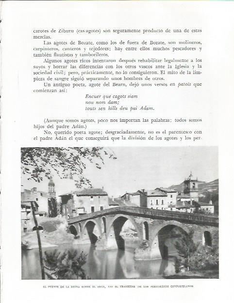 LAMINA 26631: Puente de la Reina sobre el Arga