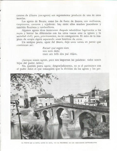 LAMINA 26631: Puente de la Reina sobre el Arga