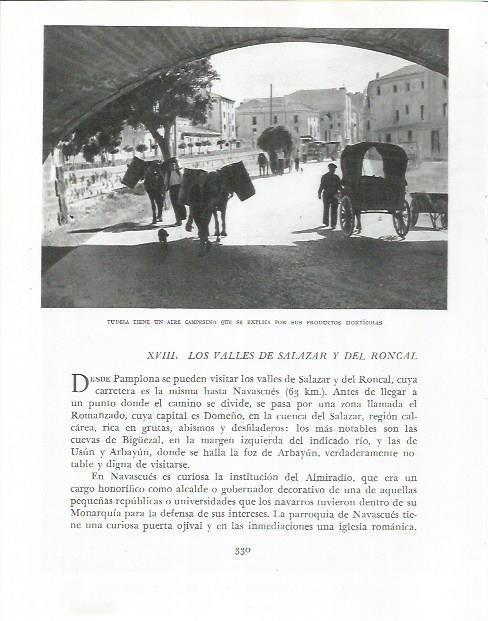 LAMINA 26636: Plaza en Tudela