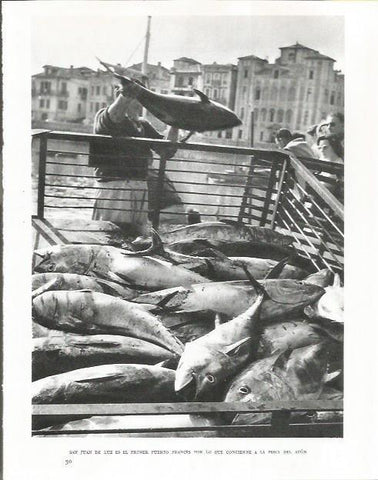 LAMINA 26663: Pesca de atun en San Juan de la Luz