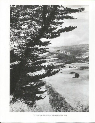LAMINA 26650: Valle del rio Irati
