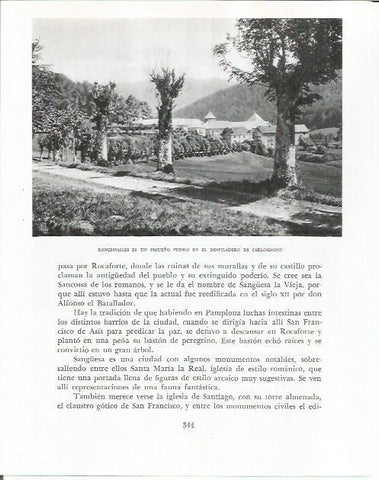 LAMINA 26643: Vista de Roncesvalles